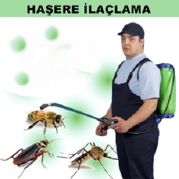 Çorlu Böcek İlaçlama